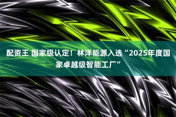 配资王 国家级认定！林洋能源入选“2025年度国家卓越级智能工厂”